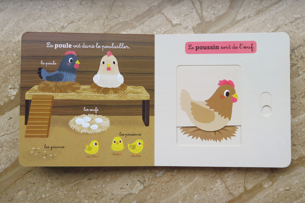 mon-coffret-des-bebes-animaux-08