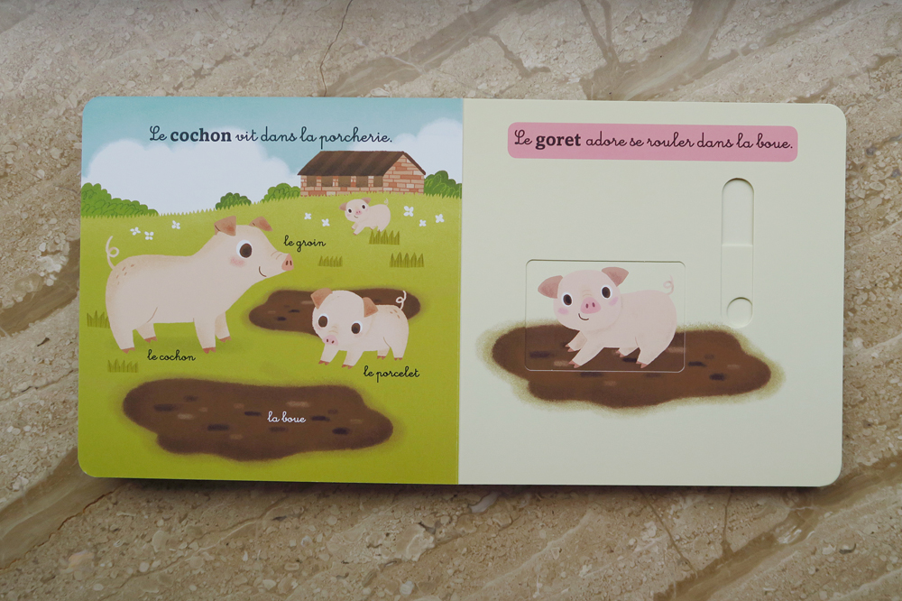 mon-coffret-des-bebes-animaux-10