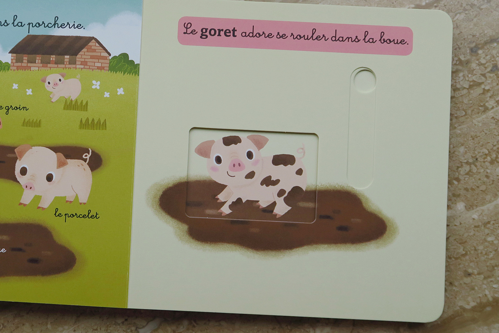 mon-coffret-des-bebes-animaux-11