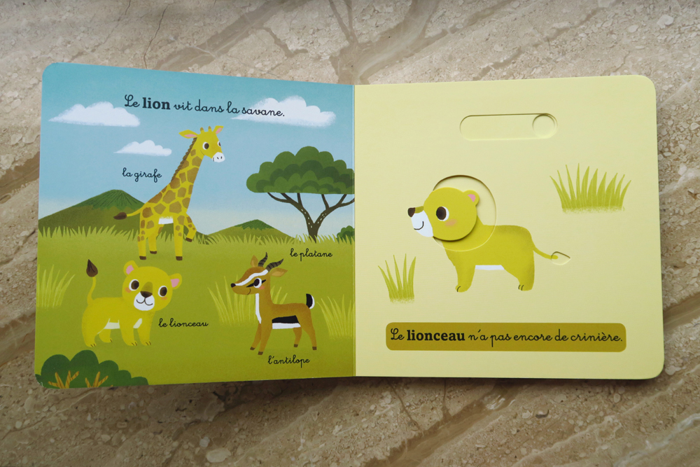 mon-coffret-des-bebes-animaux-15