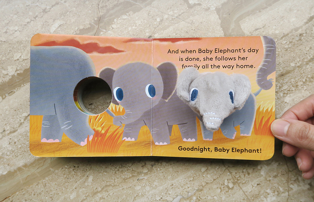 baby-elephant-6