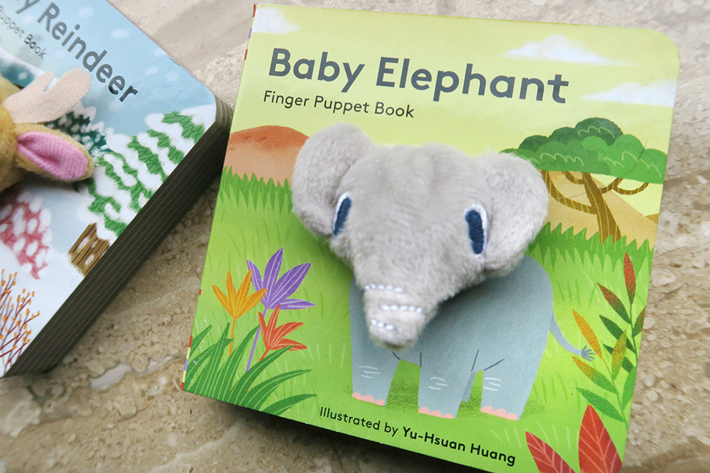 baby-elephant-thumb-3